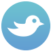 kit-twit2