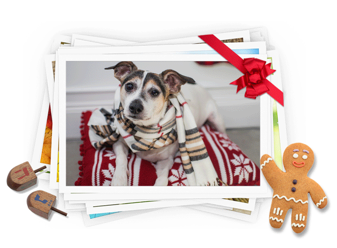 free-holiday-stock-photos.gif