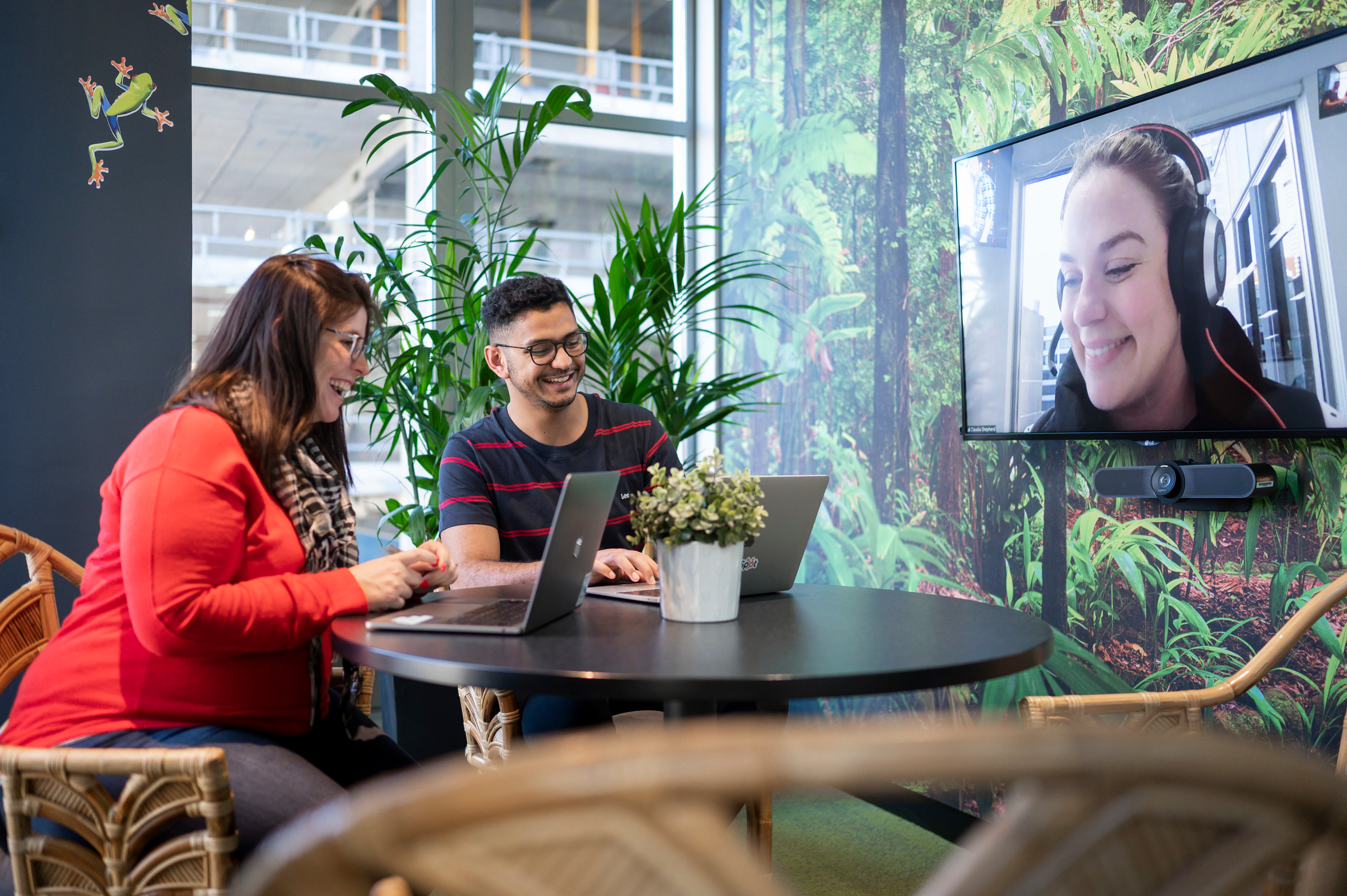 Team working via video call