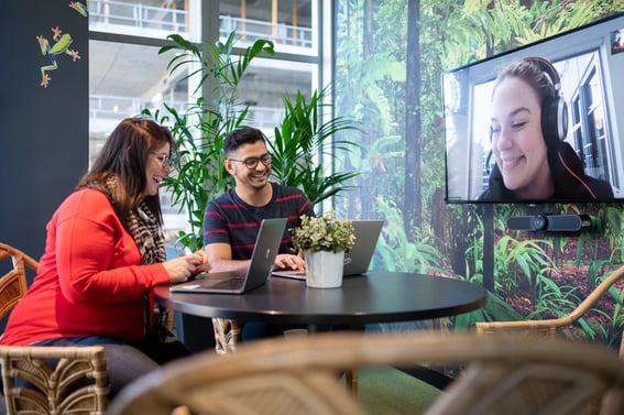 Team working via video call