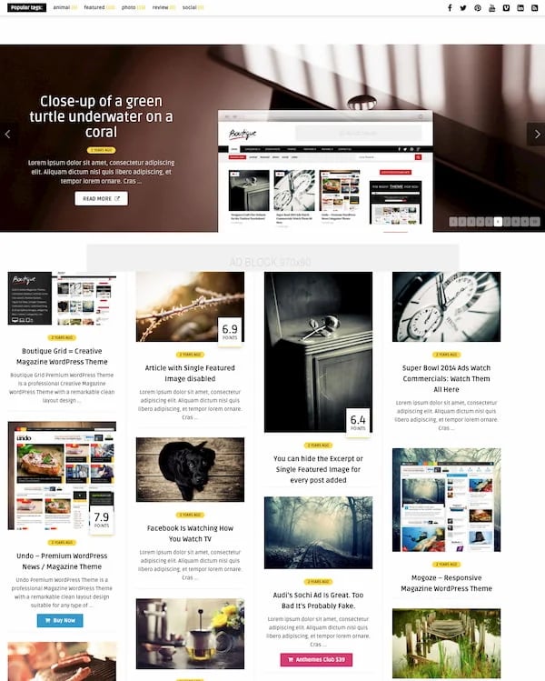 21 Best Masonry Grid WordPress Themes for 2022