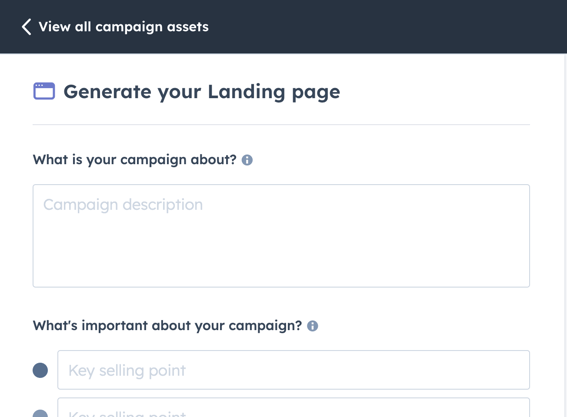 Campaign Assistant Generate Landing Page Copy