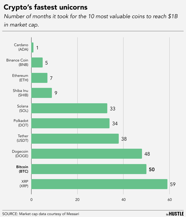 Cryptos Fastest Unicorns
