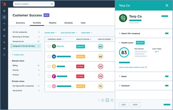 Simplified HubSpot UI showing the customer success workspace drilled into one specific customer for more detail