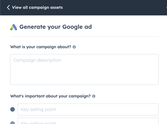 Google Ads Copy Campaign Assistant Demo Screen