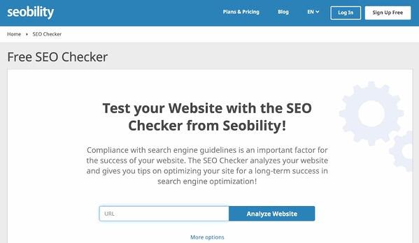 Best Search Engine Optimization Software: Boost Your Rankings Fast