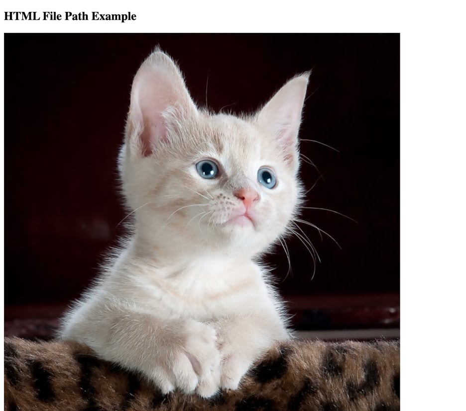 Understanding HTML File Paths & How to Use Them