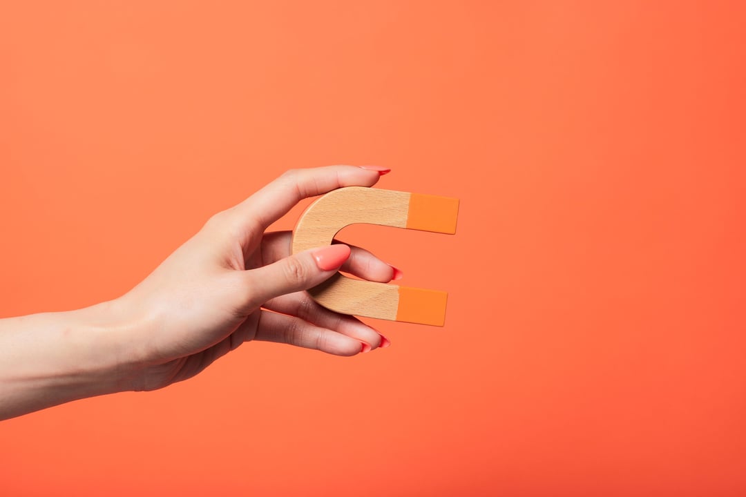lead magnet