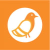 PigeonLab-2