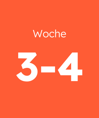 Woche 3-4