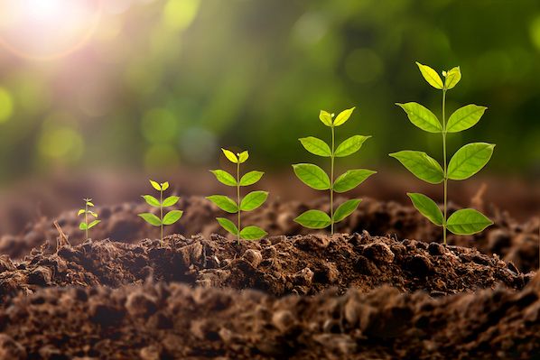 growth-hacking-websites