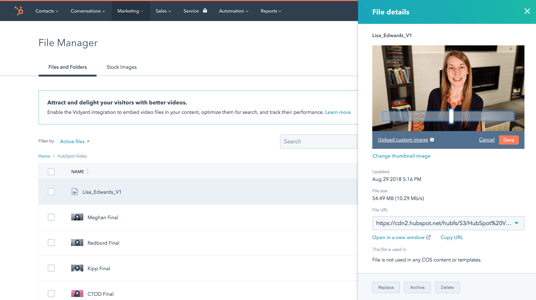 Video Hosting Screenshot
