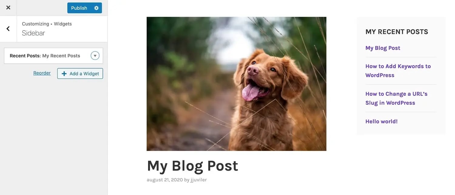 adding a blog sidebar in the wordpress customizer