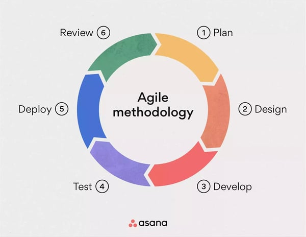 agile-methodology-asana