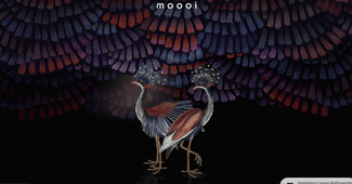 I Discovered 15 Animated Cursor Effects You Can Code in HTML & CSS