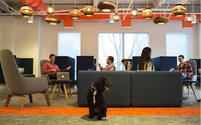 About HubSpot for Startups