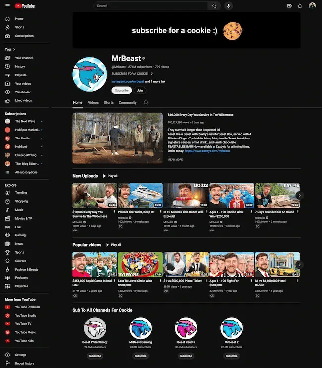 Screenshot showcasing the popular channel on YouTube, Mr. Beast. He is a perfect example of a successful content creator.