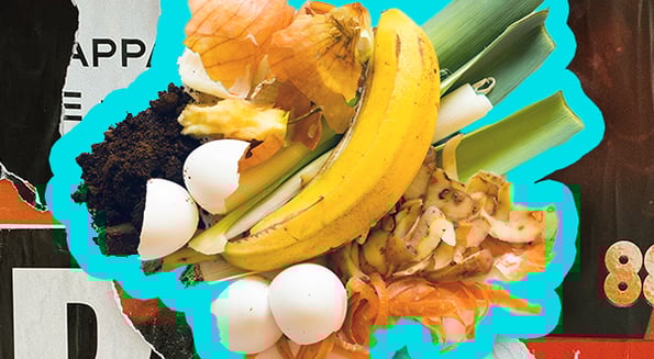 food scraps