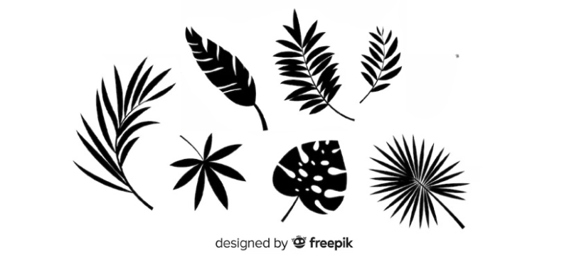 SVG Files: What They Are and How to Make One