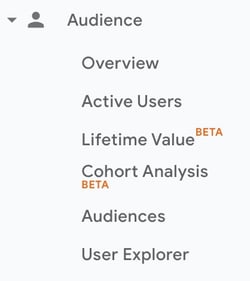 Google Analytics Audience Report