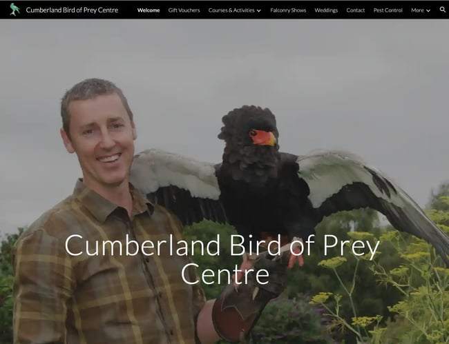 google sites assignment Google Sites tutorial Examples: cumberland bird of prey centre