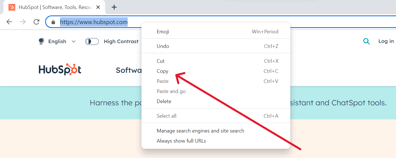 Screenshot with an arrow pointing to “Copy.”