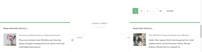 Next Post Fly Box WordPress plugin