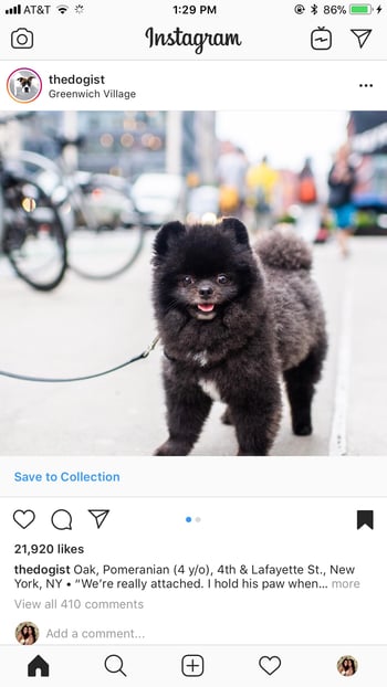 Instagram的营销-41