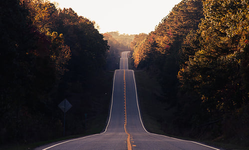 matt-duncan-127528-unsplash