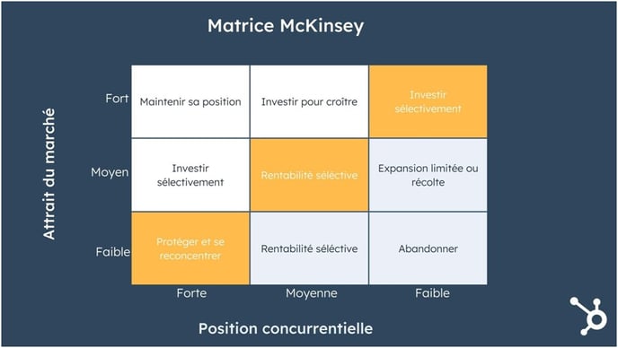 Matrice McKinsey