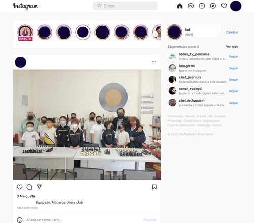 Feed principal de perfil en Instagram web