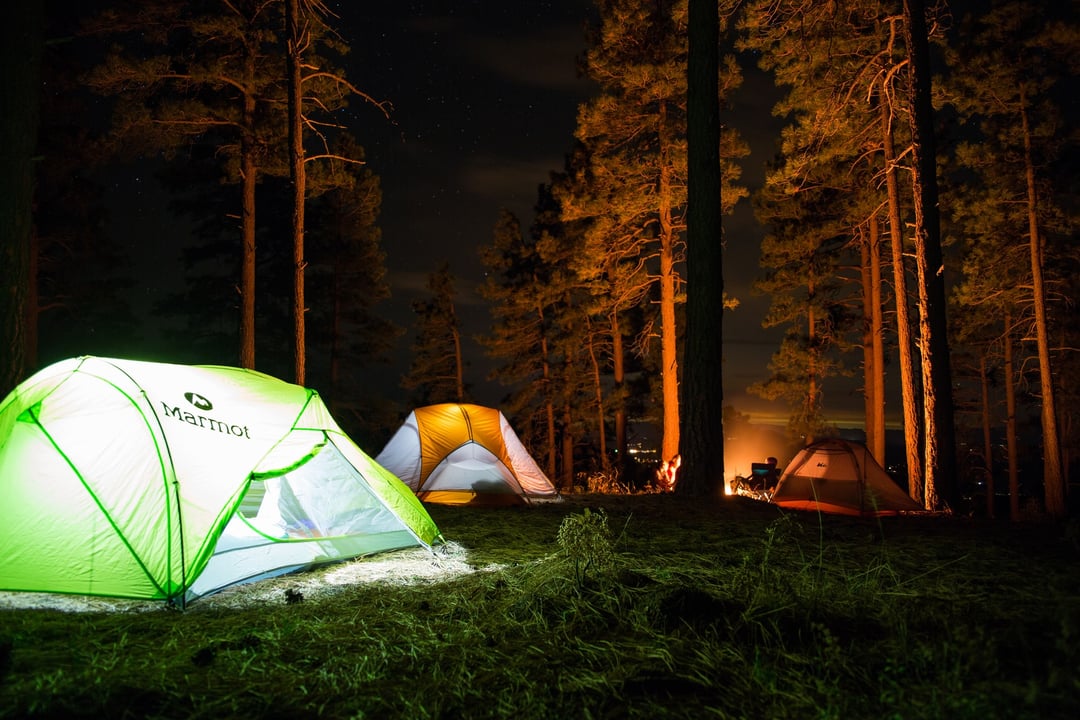 people camping in tents in the woods
