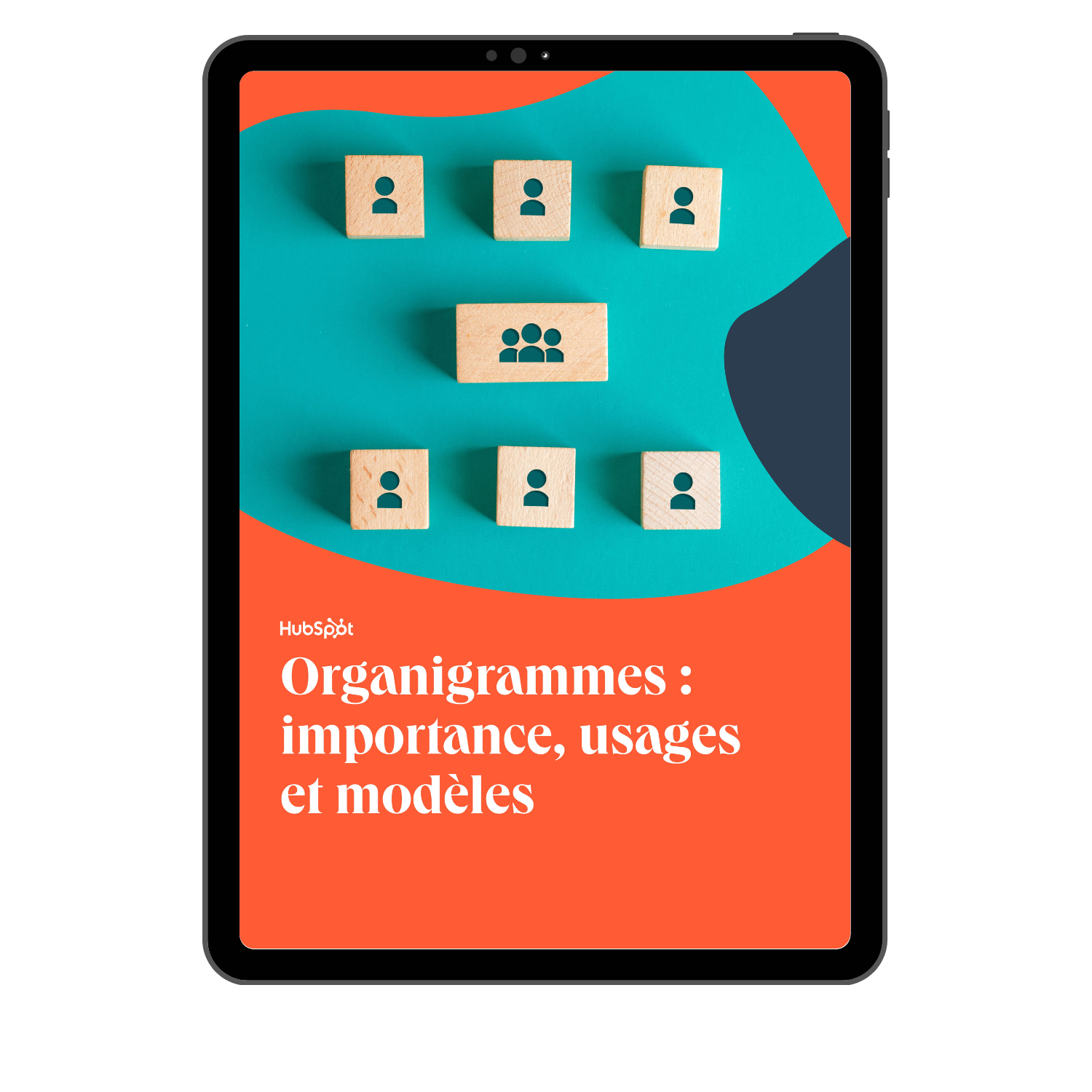 Organigrammes : importance, usages et modèles