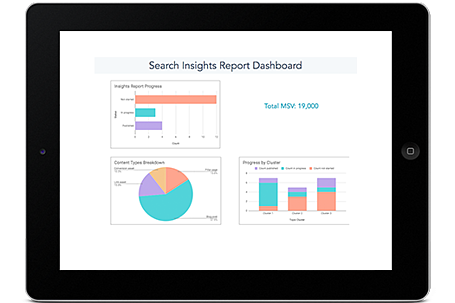 search insights report template