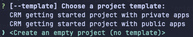 Terminal prompt option for creating an empty project with no template