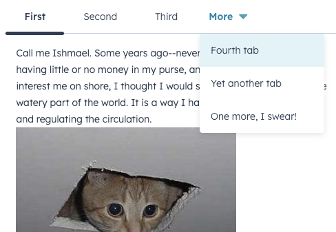 Example of how HubSpot automatically handles overflow for tabs that would exceed the width of the container
