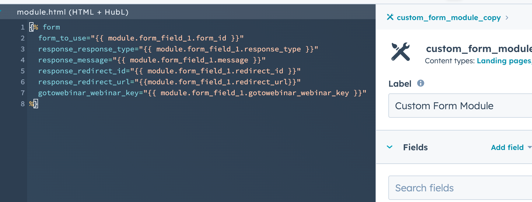 module-field-paste-snippet