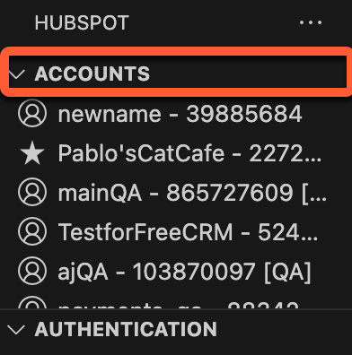 vs-code-extension-accounts