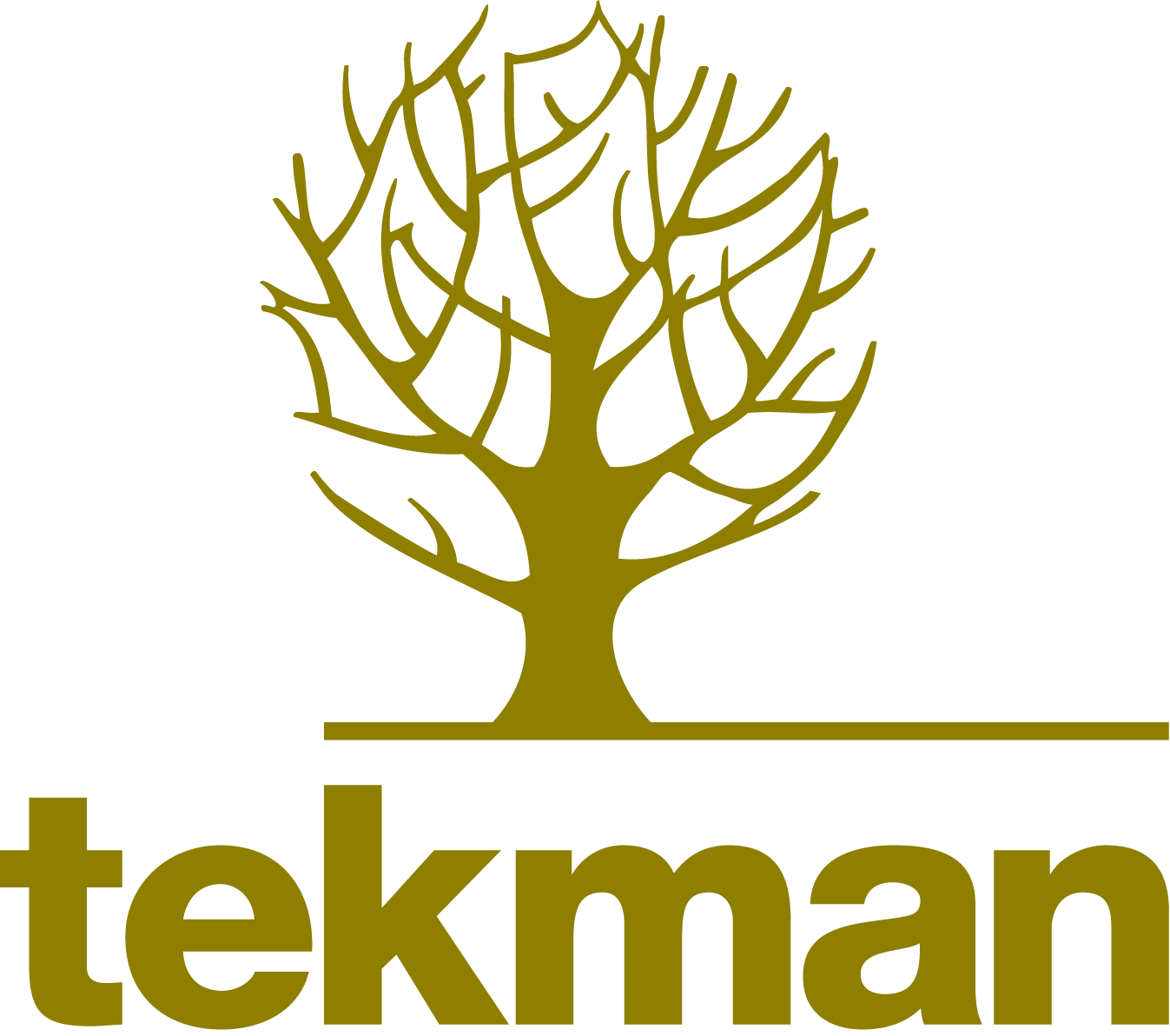 Logo-Tekman-verd_ALFA (1)
