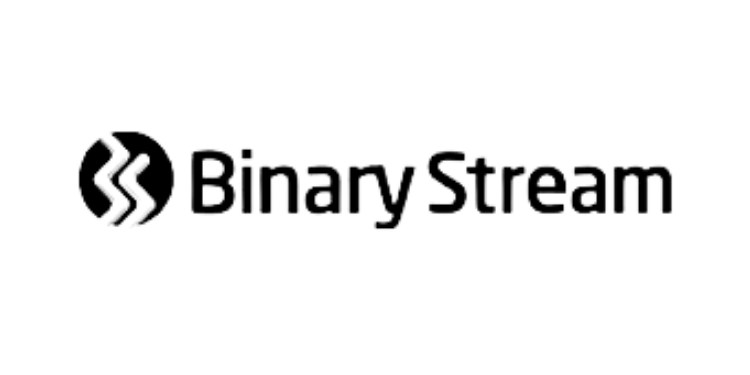 binary stream logo (500 x 250 px)