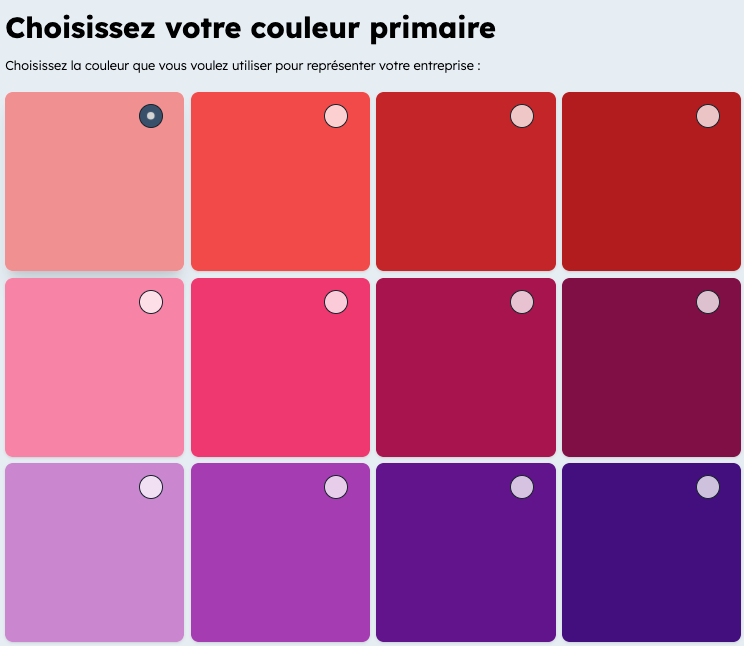 Choix de la couleur primaire d'une palette dans l'outil de HubSpot