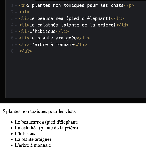 Comment faire une liste HTML ? Balises et et