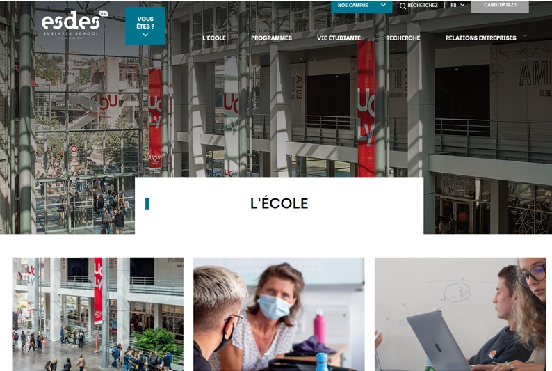 Marketing en ligne de l'ESDES Business School