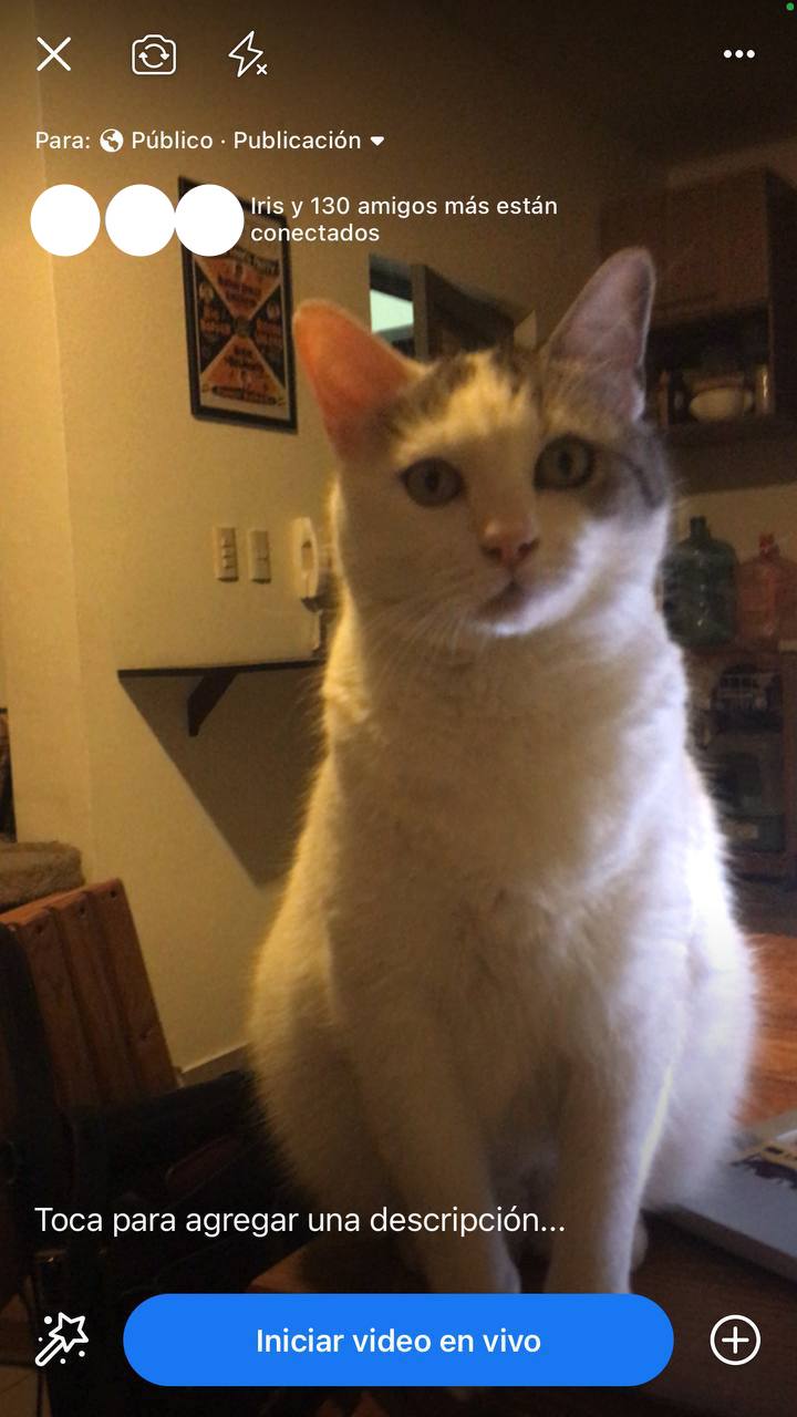 Cómo usar Facebook Live: pantalla de transmisión antes de iniciar transmisión desde app móvil