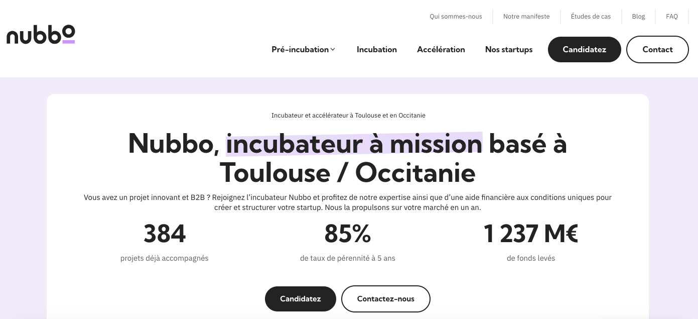 page accueil site web nubbo