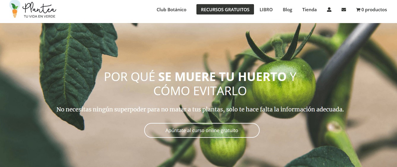 Nombre original de página: Plantea verde