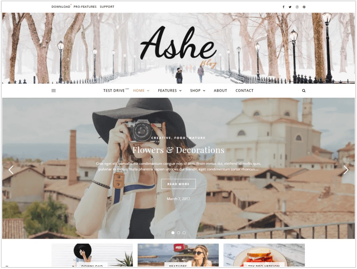 Tema de Wordpress Ashe
