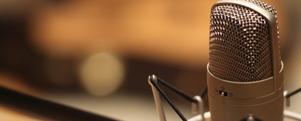 microphone-1003561_960_720_cropped3.png