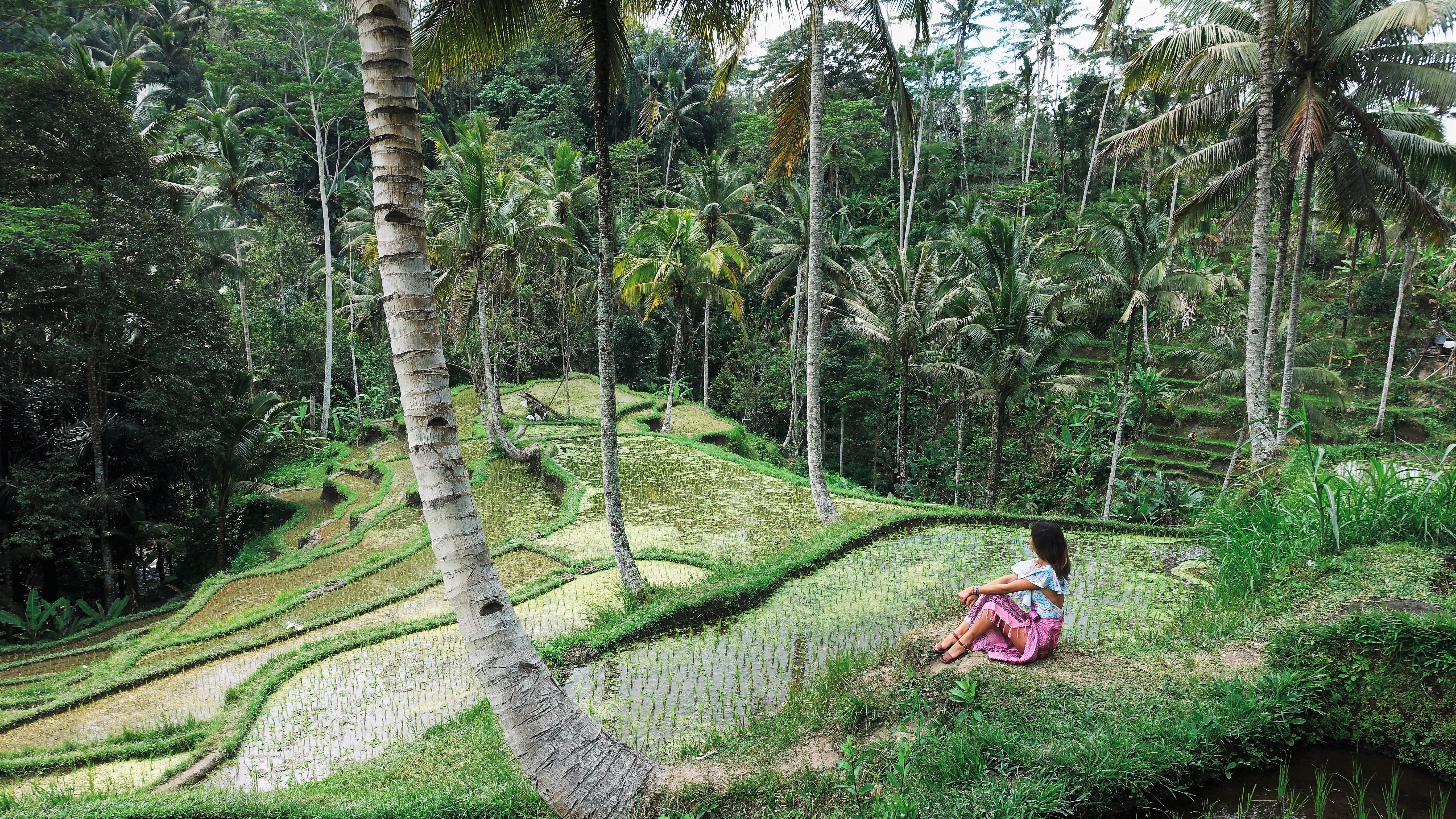 5 Things Being an Intern and a 'Survivor' Contestant Have in Common