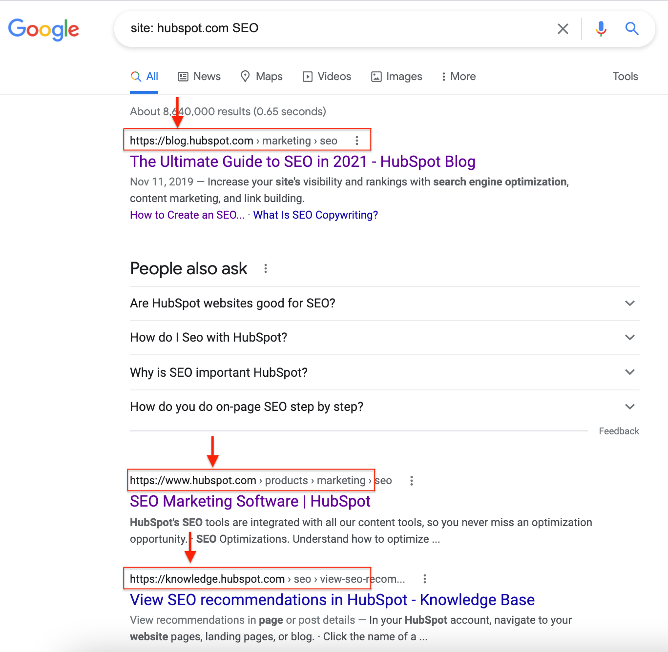 Site search Google example 